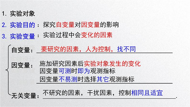 新高考生物二轮复习专题突破课件 课题2+实验探究（含答案）第4页