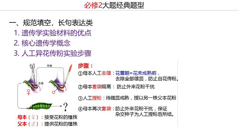 新高考生物二轮复习专题突破课件 遗传大题常见填空和实验设计专题讲解（含答案）第6页