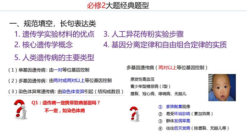 新高考生物二轮复习专题突破课件 遗传大题常见填空和实验设计专题讲解（含答案）第8页