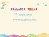 新高考生物二轮重点讲练课件：生命观念之微专题1 种子形成和萌发过程中的物质变化（含解析）