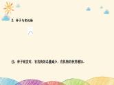 新高考生物二轮重点讲练课件：生命观念之微专题1 种子形成和萌发过程中的物质变化（含解析）