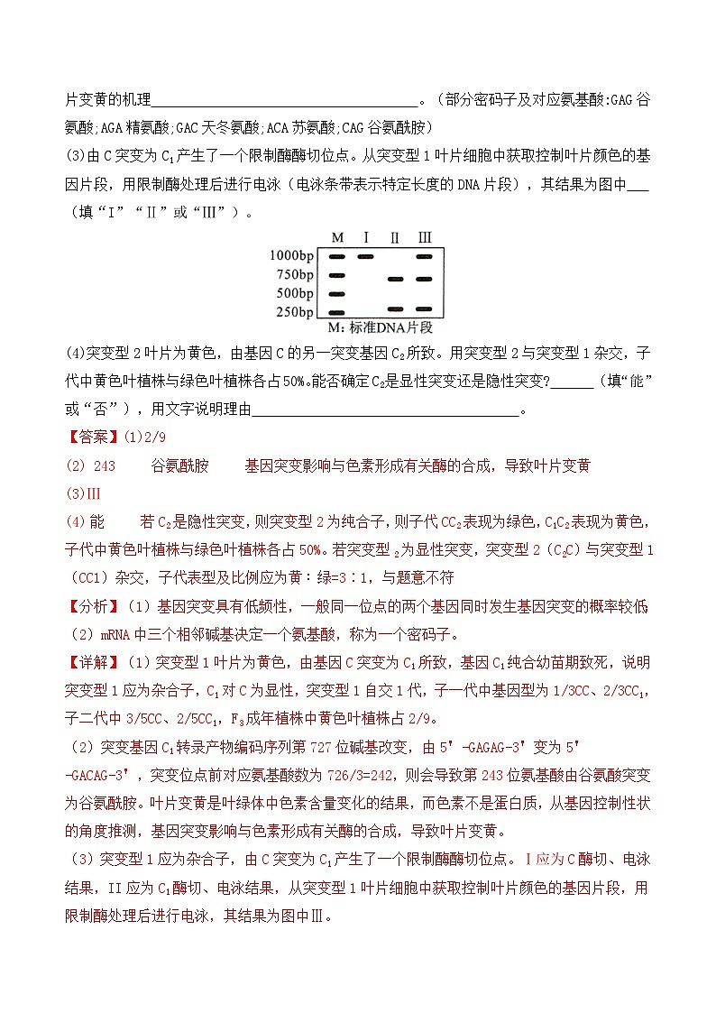 新高考生物二轮复习题型归纳与变式演练专题07  遗传变异（解析版） 第2页