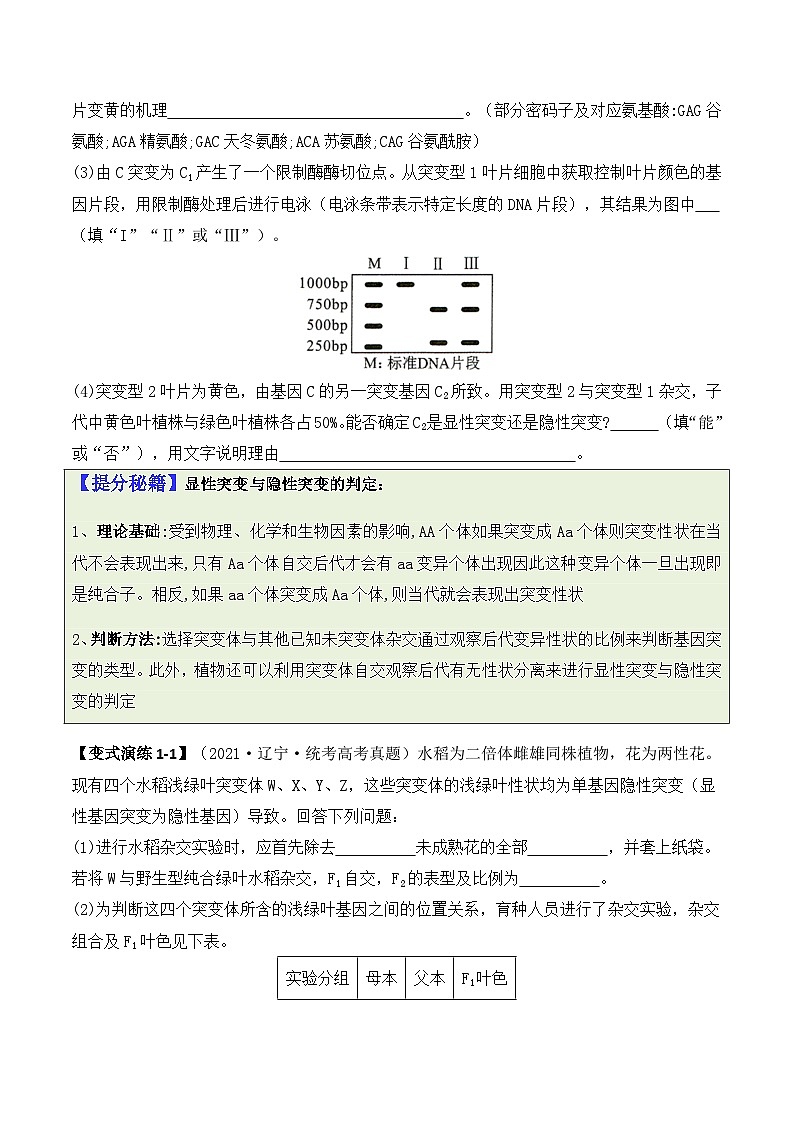 新高考生物二轮复习题型归纳与变式演练专题07  遗传变异（原卷版） 第2页