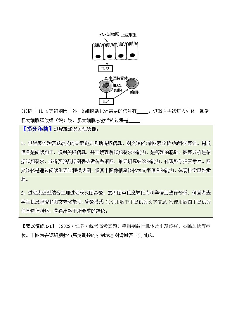 新高考生物二轮复习题型归纳与变式演练专题08 生命活动调节（原卷版）第2页