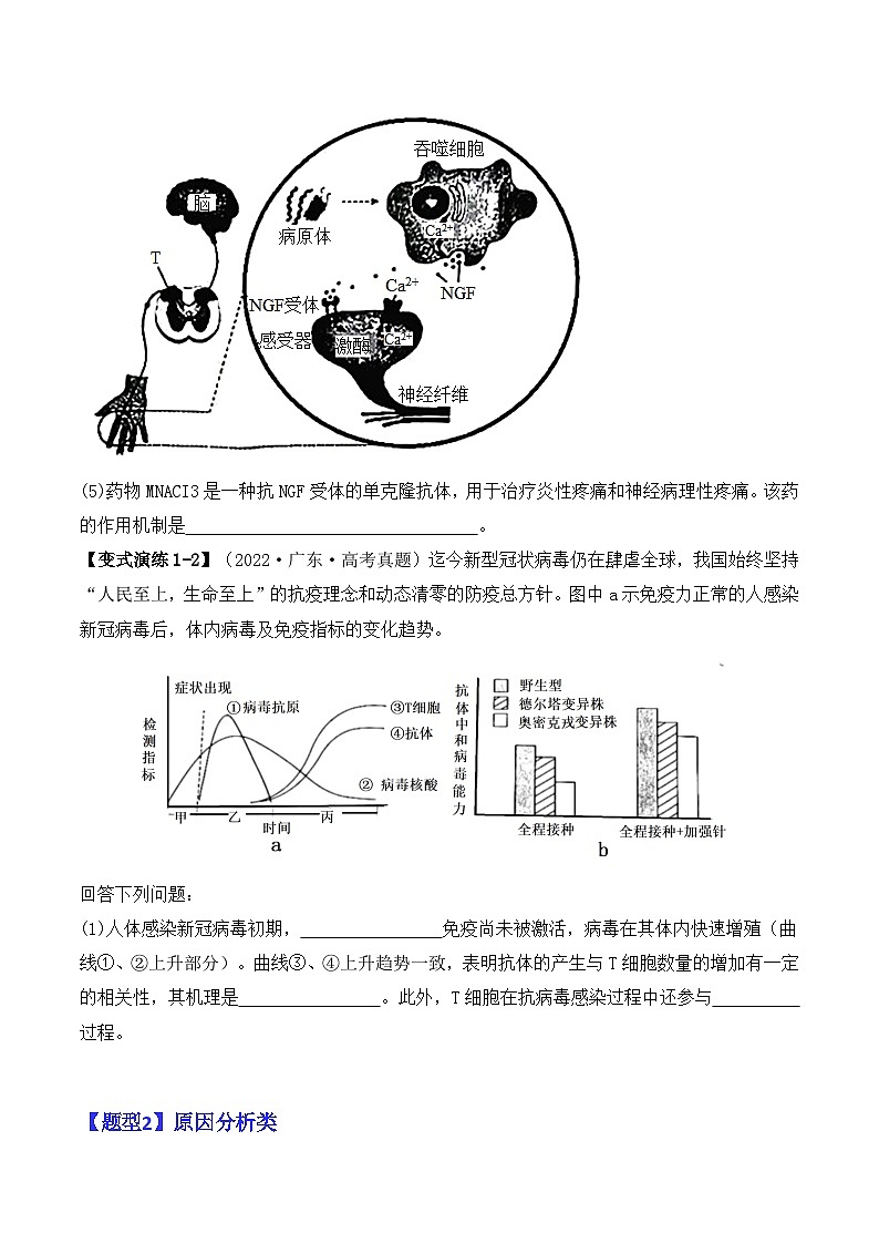 新高考生物二轮复习题型归纳与变式演练专题08 生命活动调节（原卷版）第3页