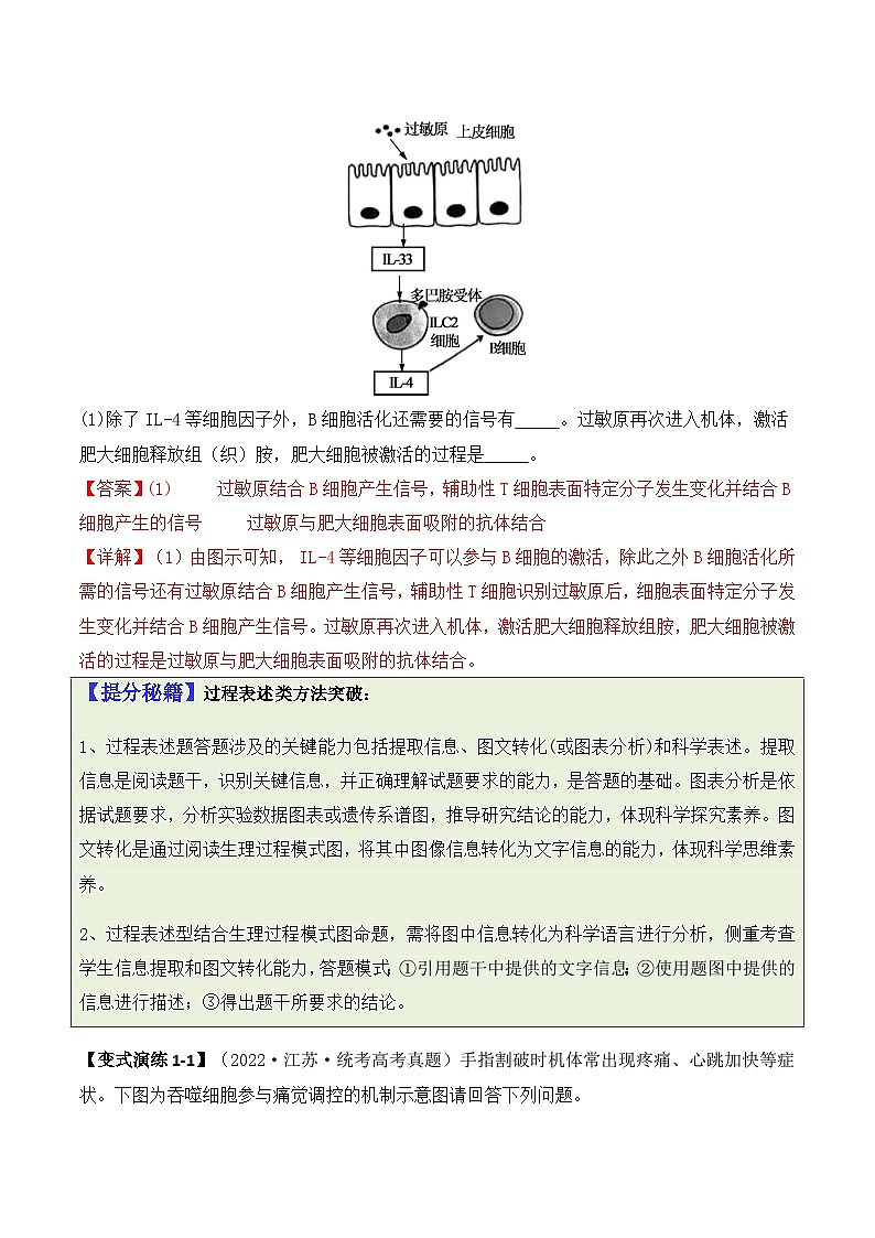 新高考生物二轮复习题型归纳与变式演练专题08 生命活动调节（解析版） 第2页