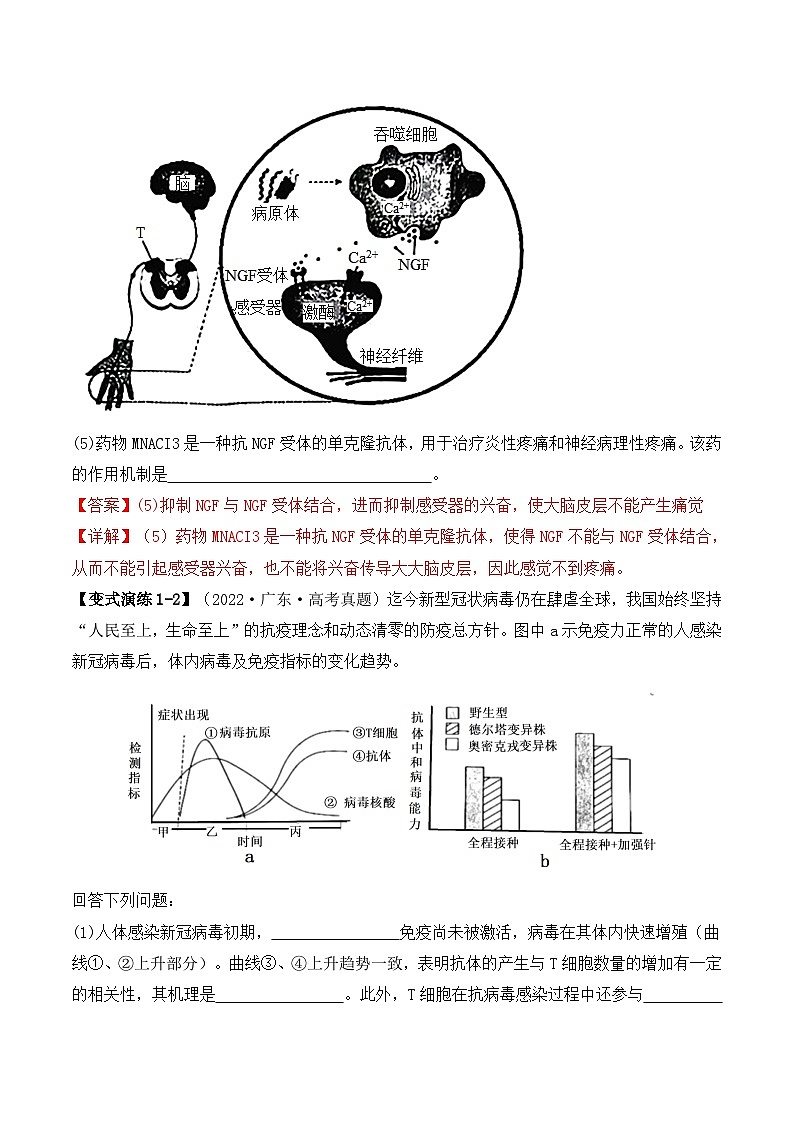 新高考生物二轮复习题型归纳与变式演练专题08 生命活动调节（解析版） 第3页