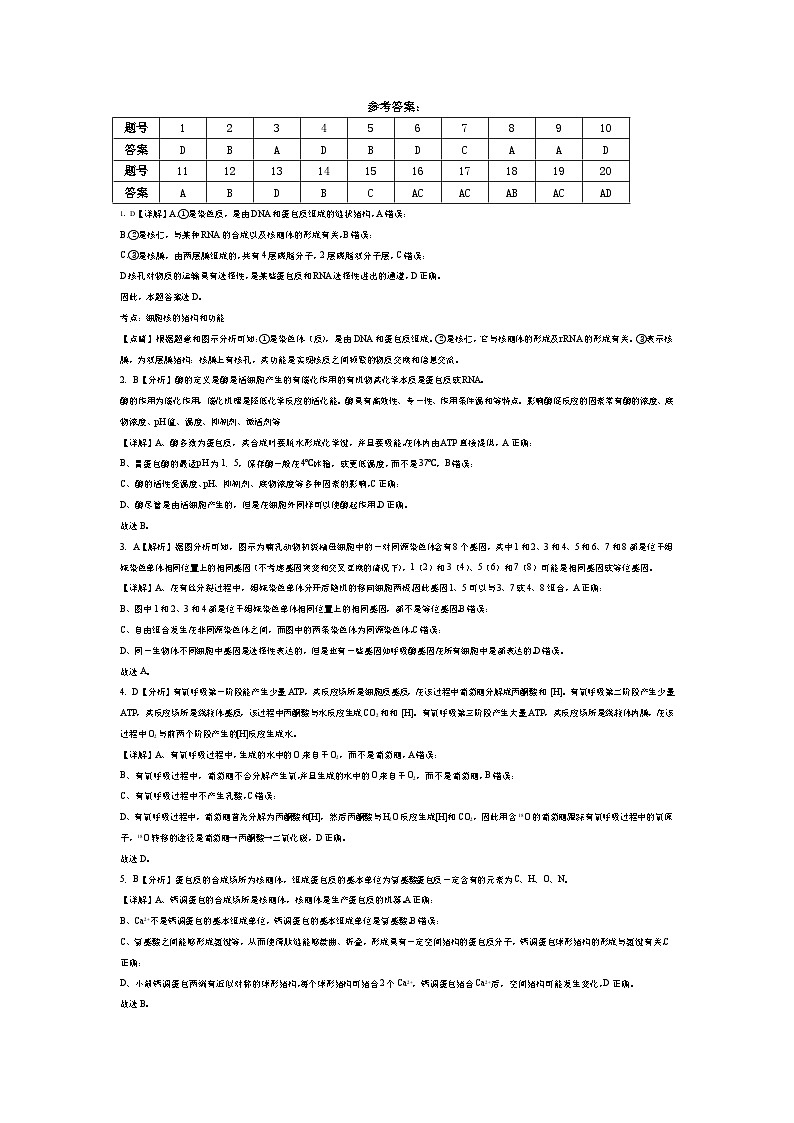 答案第1页
