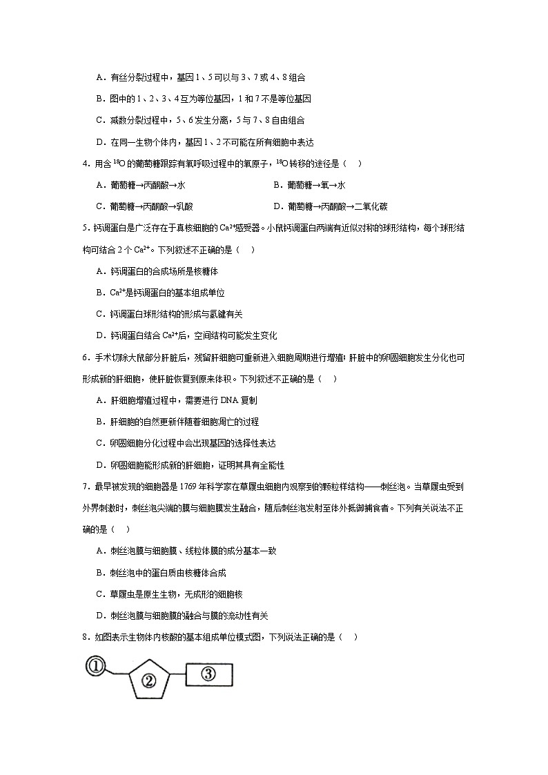 高三五校联考第2页