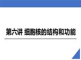 新高考生物一轮复习考点课件第06讲 细胞核的结构和功能（含解析）