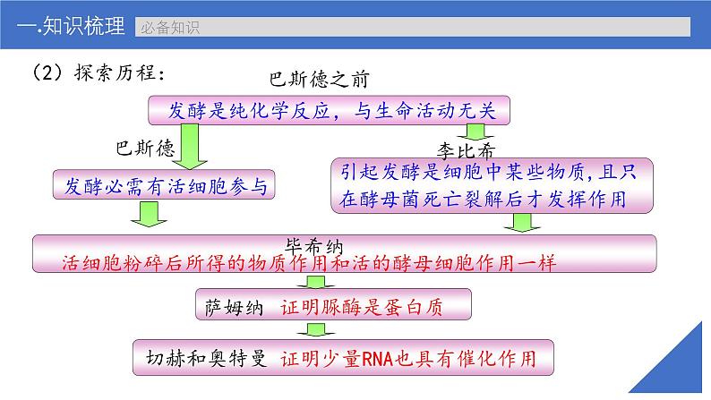 新高考生物一轮复习考点课件第09讲 酶（含解析）第8页