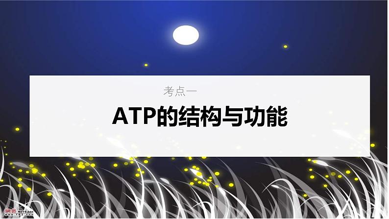 新高考生物一轮复习考点课件第10讲 ATP（含解析）05