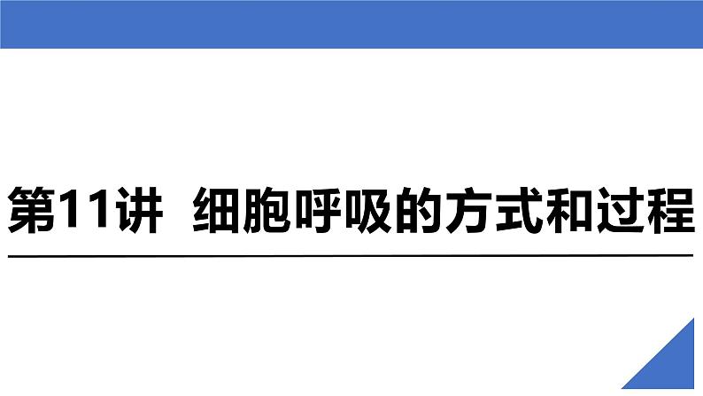 新高考生物一轮复习考点课件第11讲 细胞呼吸的方式和过程（含解析）第2页