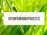 新高考生物一轮复习考点课件第11讲 细胞呼吸的方式和过程（含解析）