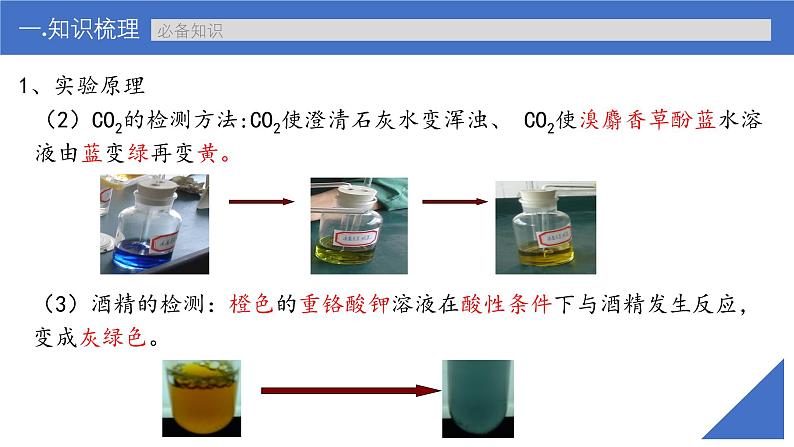 新高考生物一轮复习考点课件第11讲 细胞呼吸的方式和过程（含解析）第7页