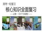 新高考生物一轮复习考点课件第19讲 细胞分化、衰老、凋亡和癌变（含解析）