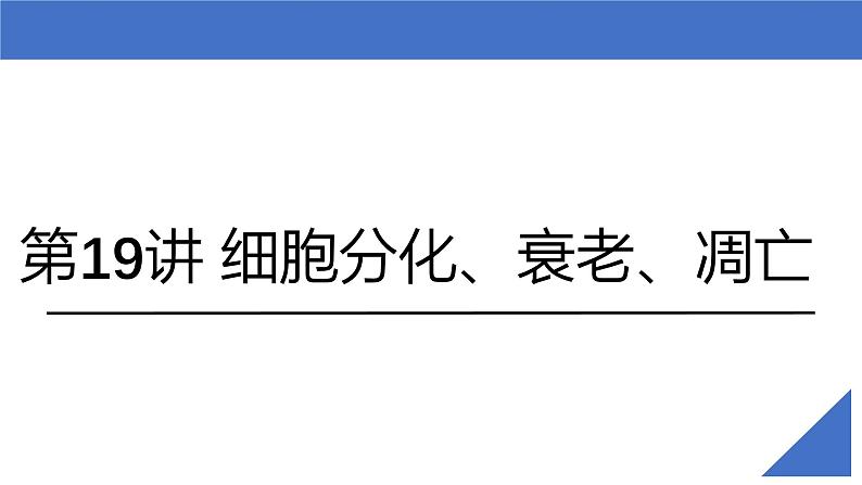 新高考生物一轮复习考点课件第19讲 细胞分化、衰老、凋亡和癌变（含解析）02