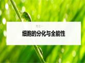 新高考生物一轮复习考点课件第19讲 细胞分化、衰老、凋亡和癌变（含解析）