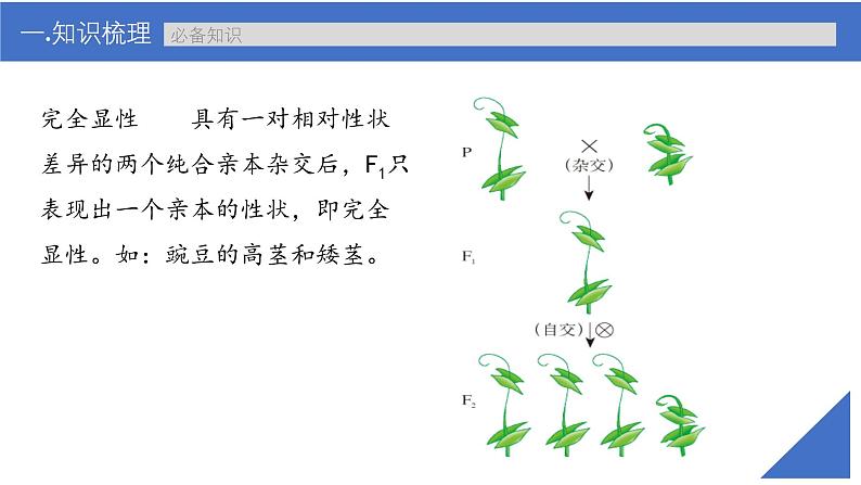 新高考生物一轮复习考点课件第22讲 特殊的生物学遗传现象（含解析）第4页