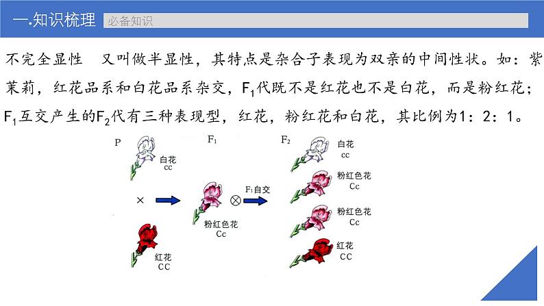 新高考生物一轮复习考点课件第22讲 特殊的生物学遗传现象（含解析）第6页