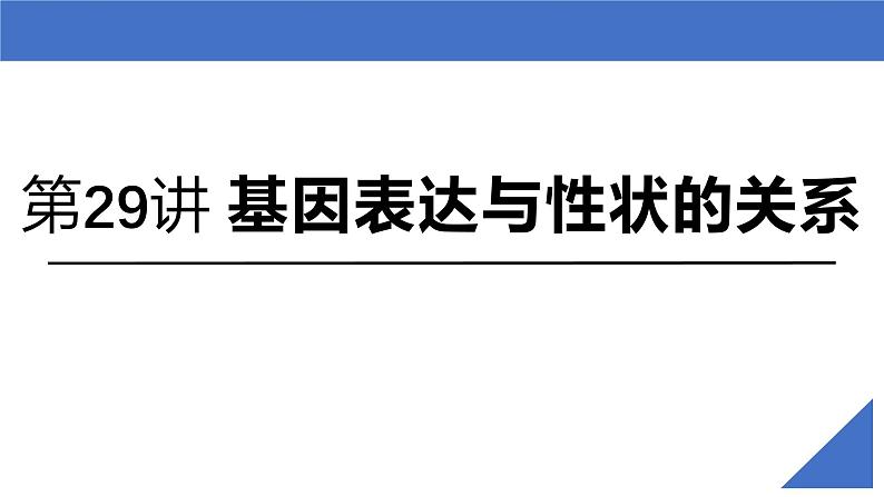 新高考生物一轮复习考点课件第29讲 基因表达与性状的关系(含表观遗传)第2页