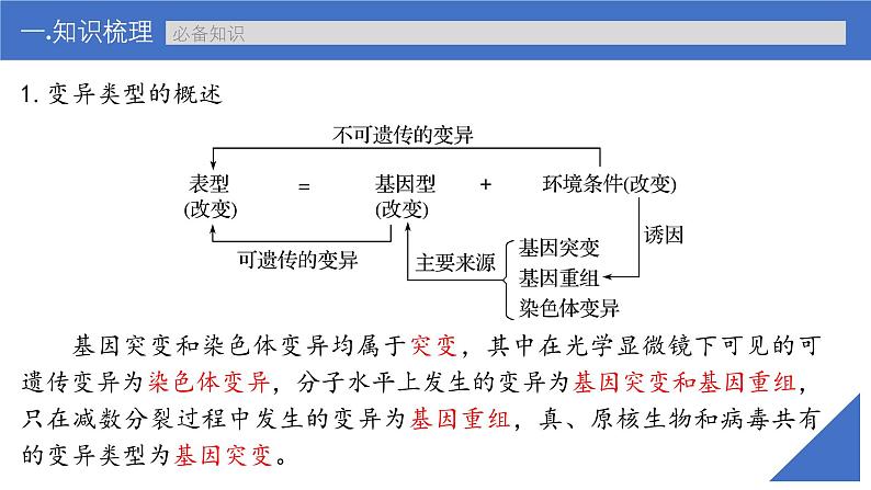 新高考生物一轮复习考点课件第30讲 基因突变和基因重组（含解析）第7页