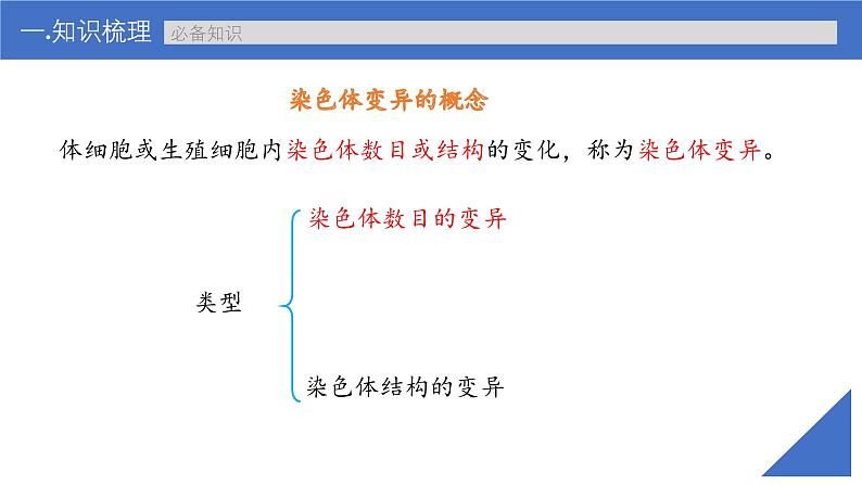 新高考生物一轮复习考点课件第31讲 染色体变异（含解析）第6页