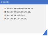 新高考生物一轮复习考点课件第35讲 神经调节的结构基础及基本方式（含解析）