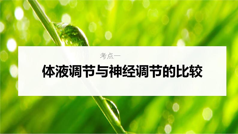 新高考生物一轮复习考点课件第38讲 体液调节与神经调节的关系（含解析）05