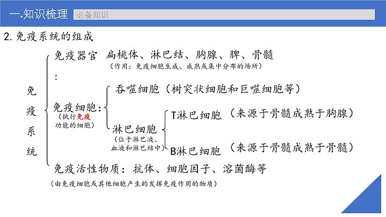 新高考生物一轮复习考点课件第39讲 免疫调节（含解析）第7页