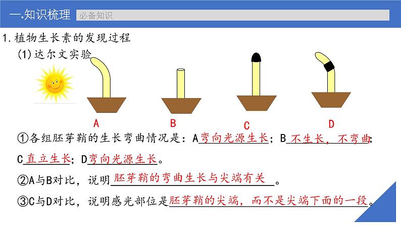 新高考生物一轮复习考点课件第41讲 植物生长素及其生理作用（含解析）第8页