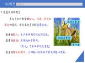 新高考生物一轮复习考点课件第48讲 生态系统的能量流动（含解析）