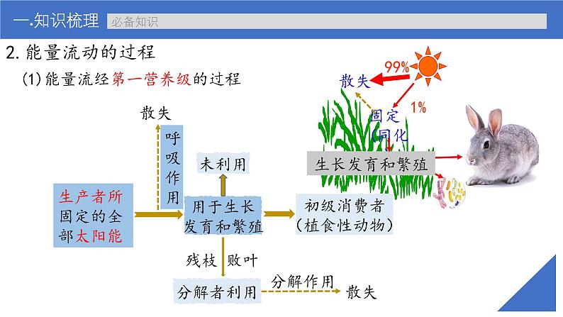 新高考生物一轮复习考点课件第48讲 生态系统的能量流动（含解析）第6页