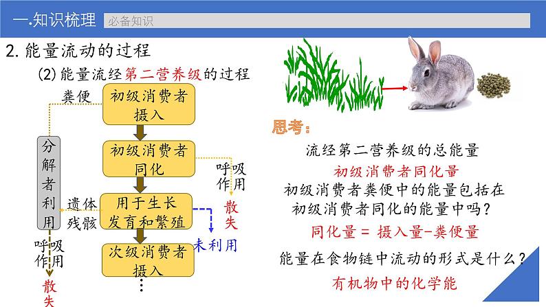 新高考生物一轮复习考点课件第48讲 生态系统的能量流动（含解析）第7页