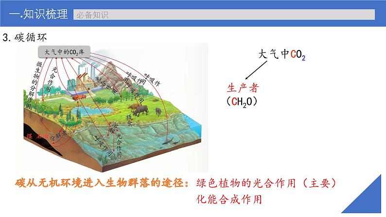 新高考生物一轮复习考点课件第49讲 生态系统的物质循环和生态系统的信息传递（含解析）第8页