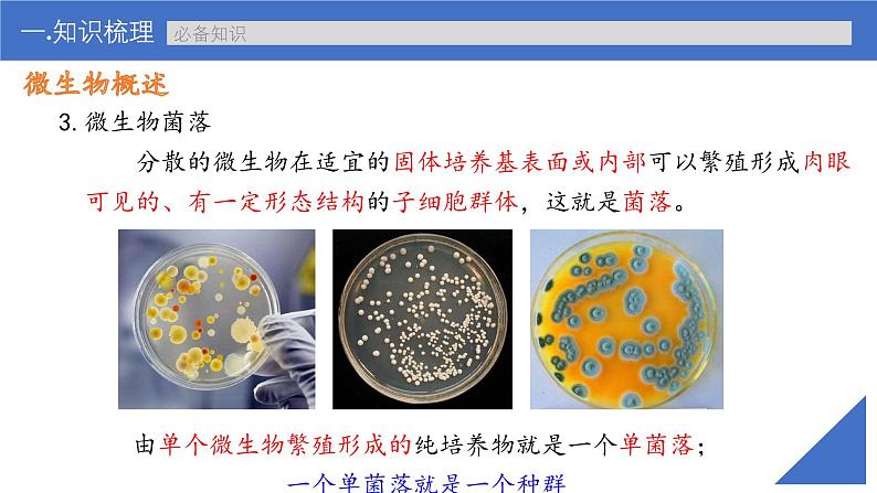 新高考生物一轮复习考点课件第53讲 微生物的培养技术及应用（含解析）08