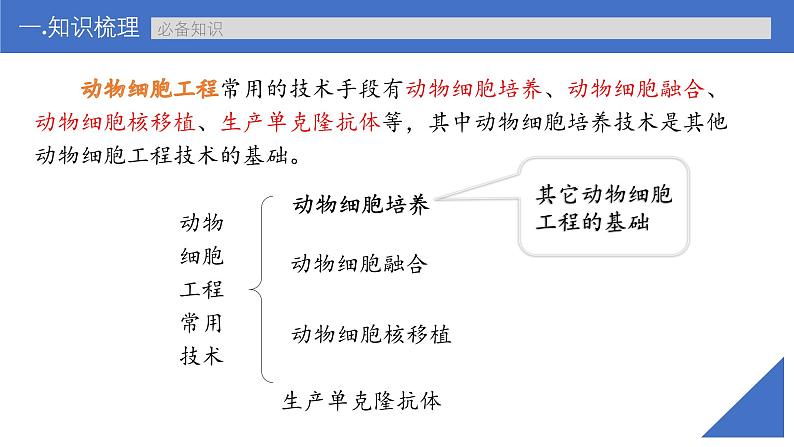 新高考生物一轮复习考点课件第55讲 动物细胞工程（含解析）第6页