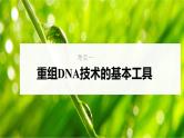 新高考生物一轮复习考点课件第57讲 基因工程的基本工具和基本操作程序（含解析）