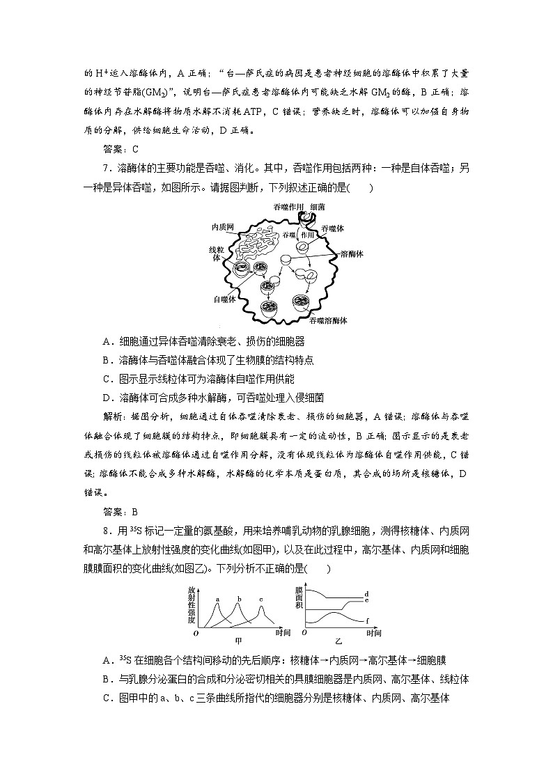 新高中生物一轮复习专题训练：第5讲 细胞器之间的分工合作（含解析）第3页