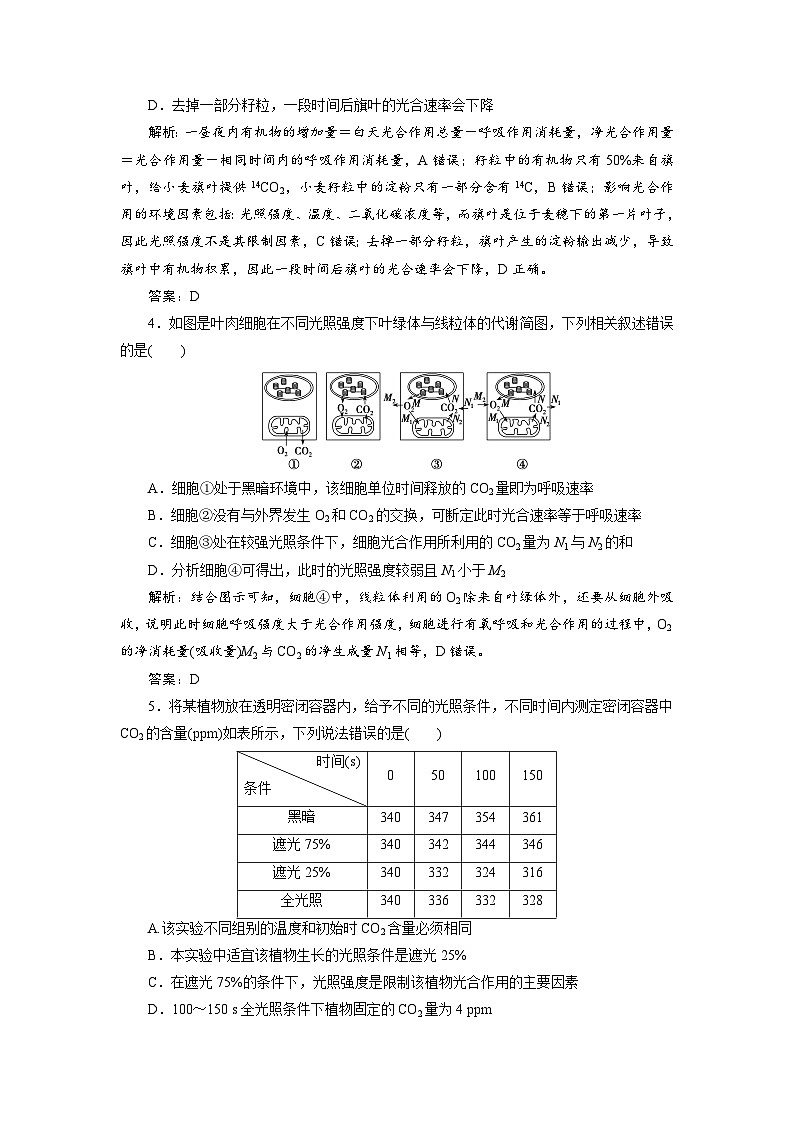 新高中生物一轮复习专题训练：第10讲 光合作用与能量转换（含解析）02