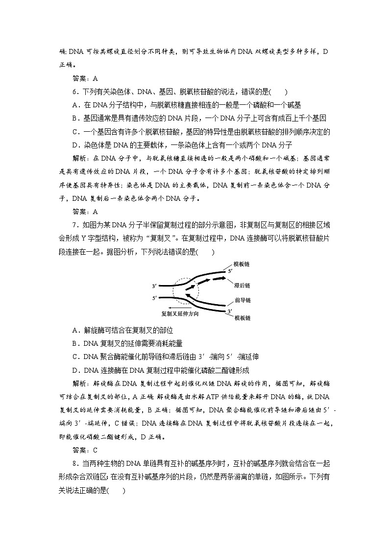 新高中生物一轮复习专题训练：第18讲 DNA的结构（word含解析）第3页