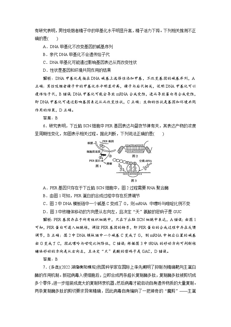 新高中生物一轮复习专题训练：第19讲 基因的表达（word含解析）第3页