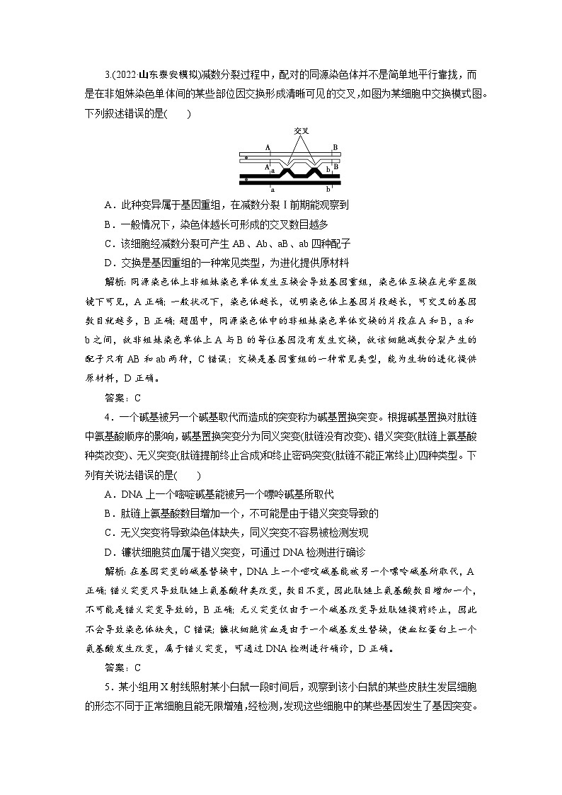 新高中生物一轮复习专题训练：第20讲 基因突变与基因重组（word含解析）第2页