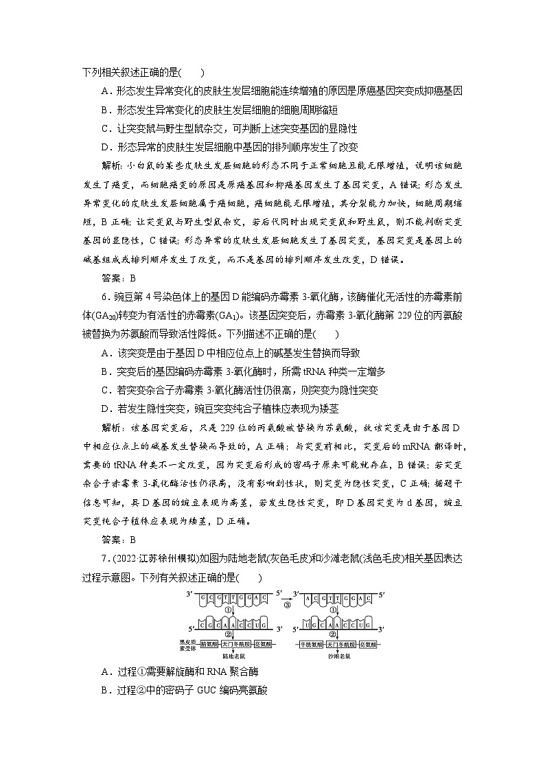 新高中生物一轮复习专题训练：第20讲 基因突变与基因重组（word含解析）第3页
