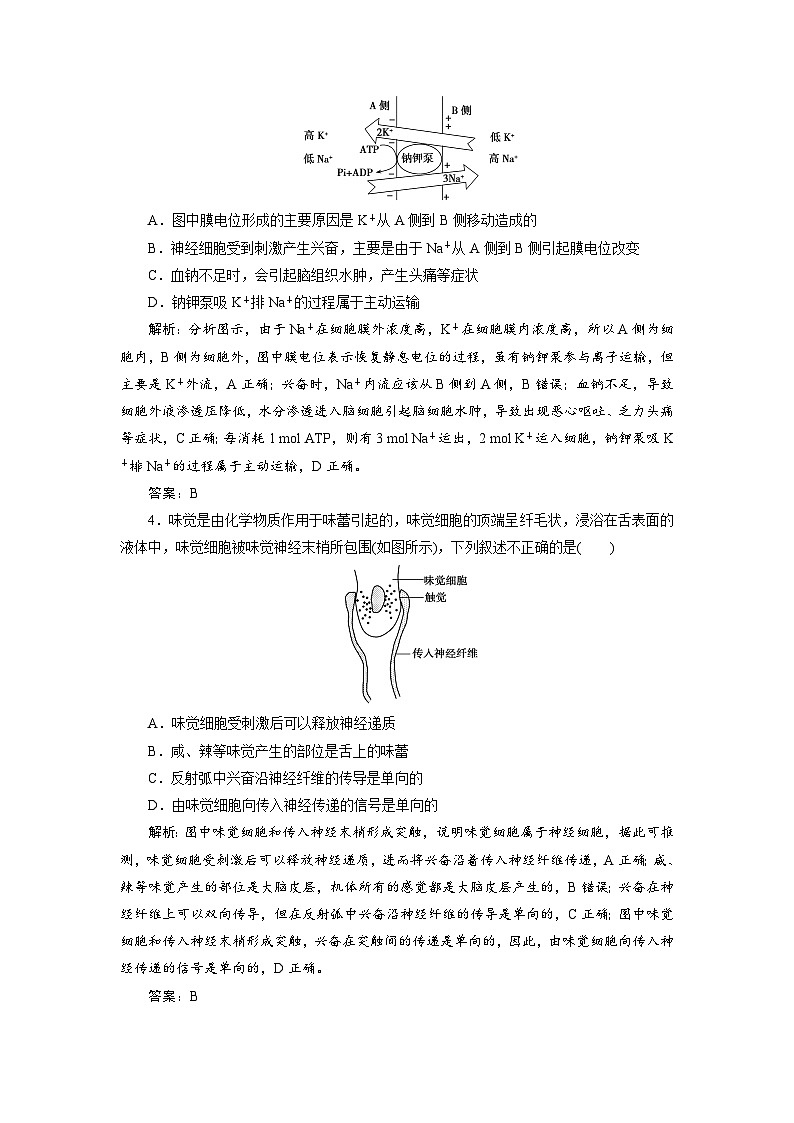 新高中生物一轮复习专题训练：第24讲 神经调节（word含解析）02