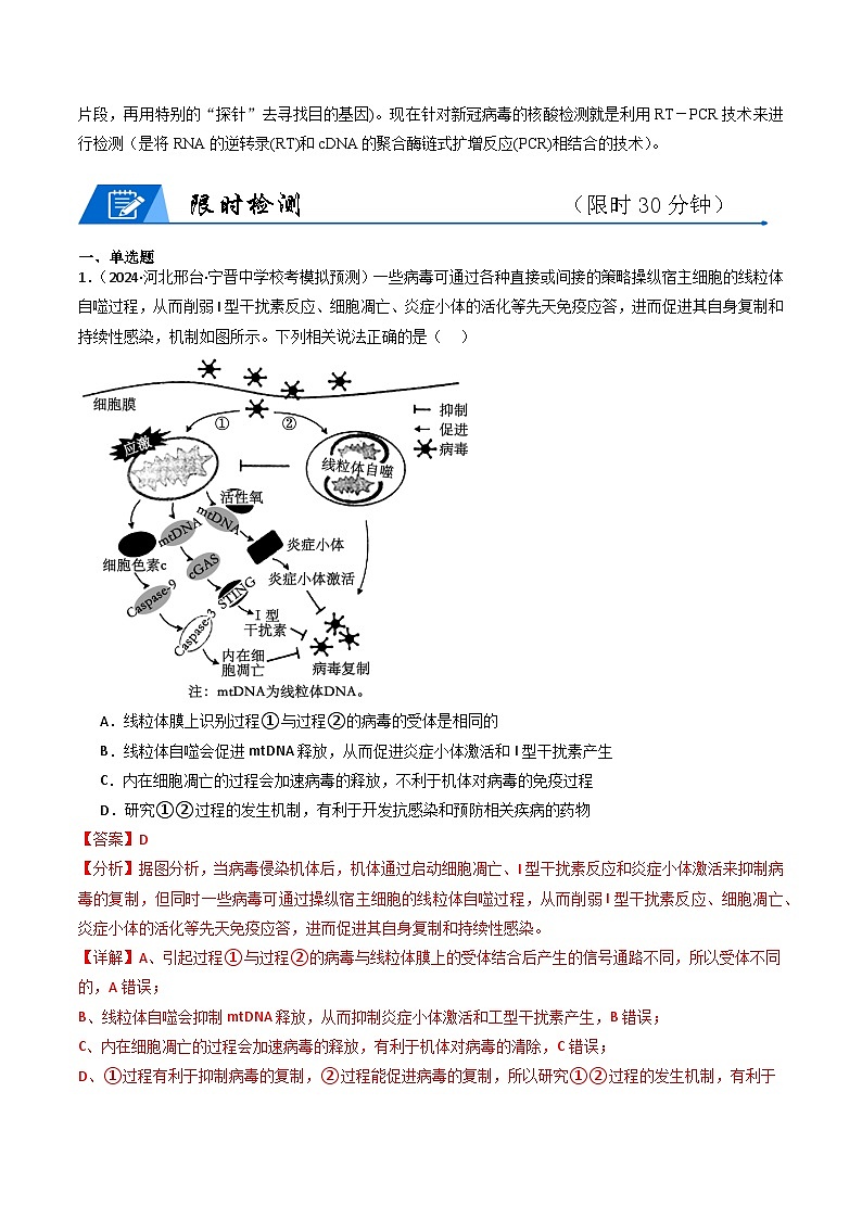 新高考生物二轮复习重难点专练热点03 病毒（解析版）第2页