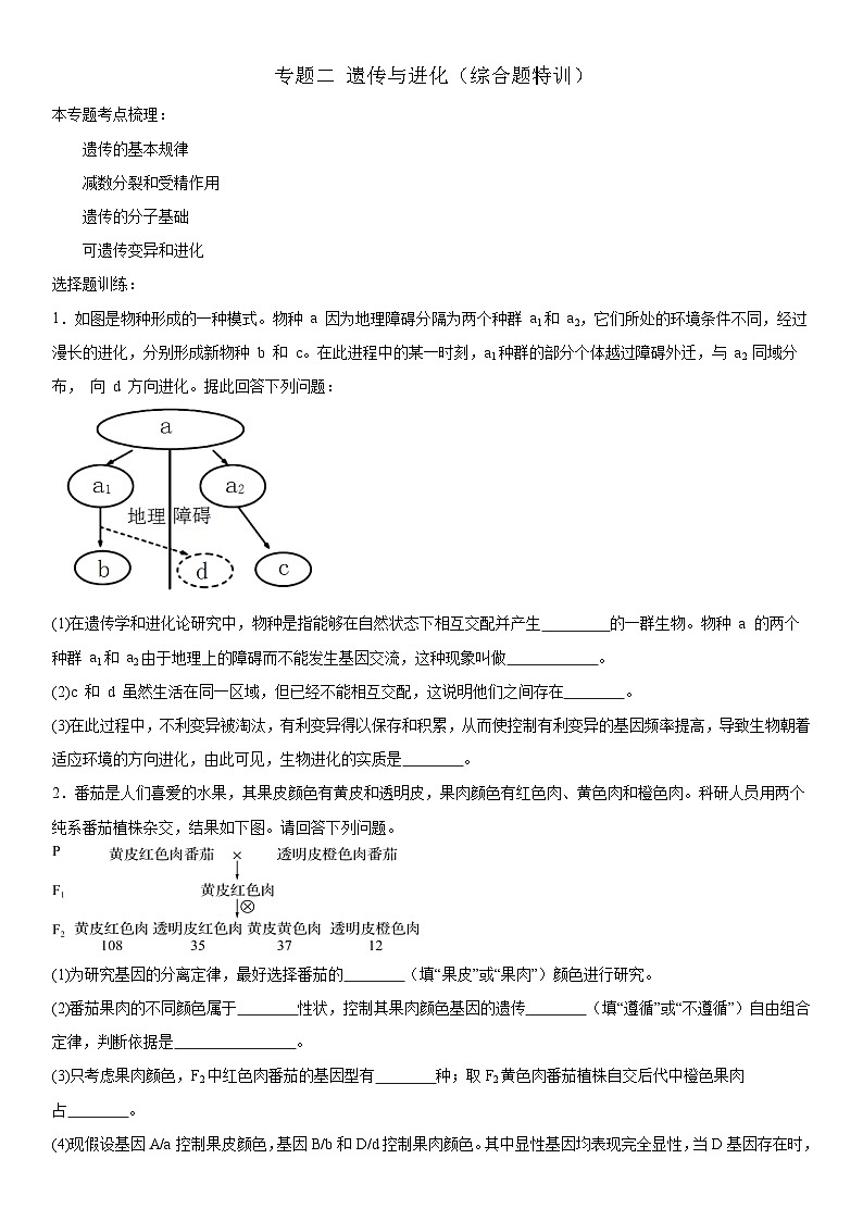 新高考生物二轮复习专题训练专题二 遗传与进化（综合题特训）（原卷版）第1页