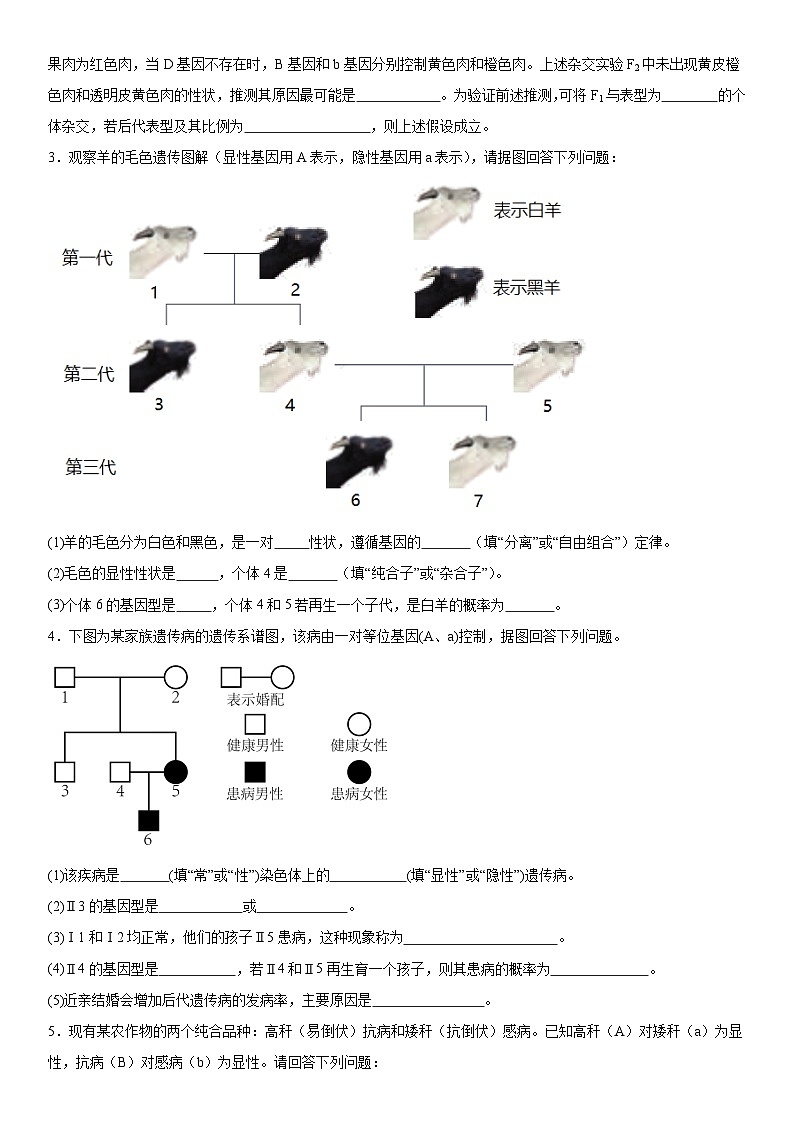 新高考生物二轮复习专题训练专题二 遗传与进化（综合题特训）（原卷版）第2页
