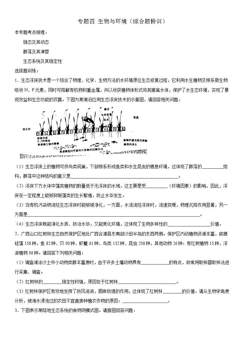 新高考生物二轮复习专题训练专题四 生物与环境（综合题特训）（原卷版）第1页