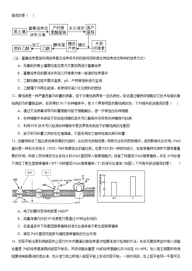 新高考生物二轮复习专题训练专题五 生物技术与工程（选择题特训）（2份，原卷版+解析版）03